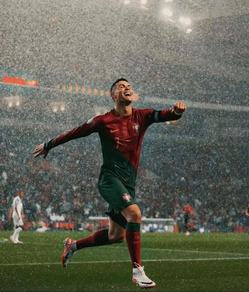 第一鳄鱼 第一鳄鱼